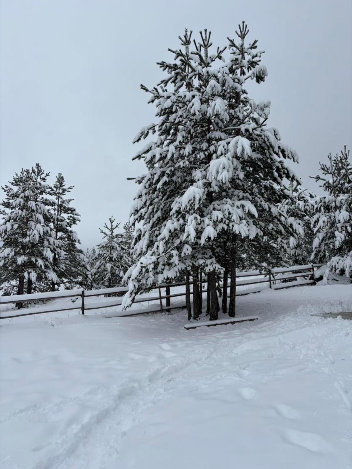 Zabljak_Vikendica Dış mekan fotoğraf